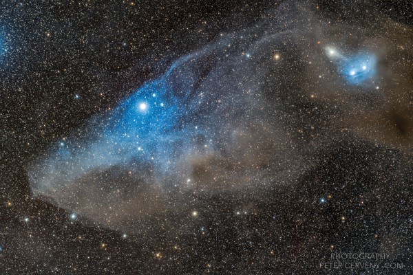 IC4592 Blue Horse Head Nebula